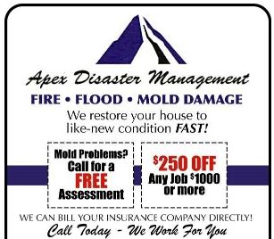 Water Damage and Mold Coupon